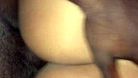 Доминиканка с большими сиськами дает дикий хэндджоб и минет