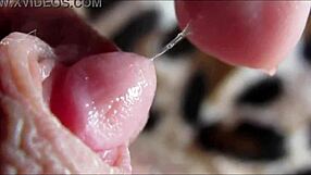 ฉันหยุดดูคลิตใหญ่เต้นตุบๆ ตอนถึงจุดสุดยอดแบบใกล้ชิดไม่ได้เลย