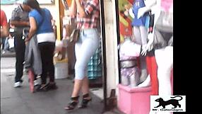 stray cat on the street voyeur