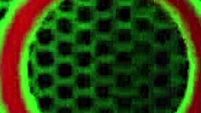 man, Rome Major cums on Cher Adele’s bouncy bubble ass, it’s amazin’