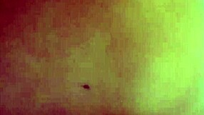 how i love riding my brother-in-law's cock