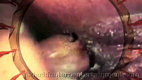 Dark lantern presents vintage randy from my secret life confessions?