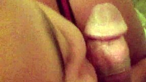 Sucking cock in detailed close-up