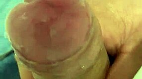 Intriguing update on crossdressing transsexual show from March 2025