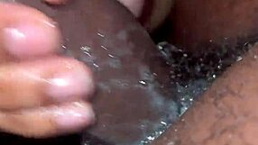 Mississippi fan bitch deepthroats big daddy dick.