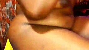 Sundaydogood614 - Update 358 - Vid 20240728 002529 - Jul 28 2024