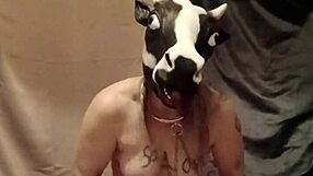 i humiliate slave with enema and anal souillure