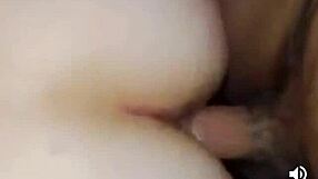 Watch this compilation of homemade latina doggystyle videos?