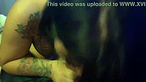 alice fire gives asian blowjob in lingerie