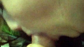 Intense cock sucking session