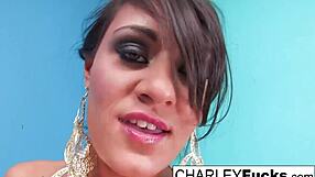 Charley Chases Oiled Up with Pearls Big Tits Ass Pussy Brunette Nude Babe Masturbation Solo