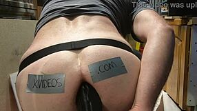 Проверка на играчки в аматьорска сесия с детайлни проверки