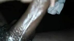 Big black dick going 2 rounds, she moans during quickie fucking