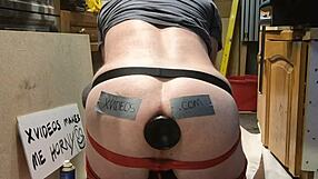 Verifying toys in amateur session with detailed checks