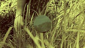 i recall dark lantern's steam age porn with vintage mature themes.