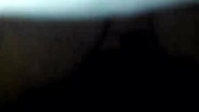 Jenny szamár fájdalmat érez a gyűrűben nagy farokkal