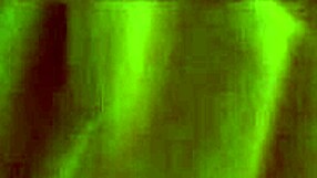 Oral Creampie Compilation