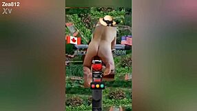 Zea812 Update 225 With Crossdressing And Transsexual