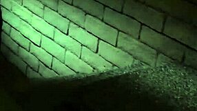 Glam MILF zvádza lesbická mladá s okuliarmi!