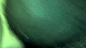 Jenny szamár fájdalmat érez a gyűrűben nagy farokkal