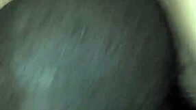 Jenny szamár fájdalmat érez a gyűrűben nagy farokkal