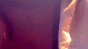 Huevos de Polla Grande en Boca Ebony?