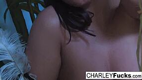 Does charley chase cum on her big tits?