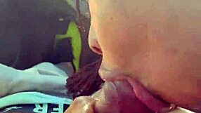 Huevos de Polla Grande en Boca Ebony?