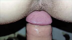 beautiful homemade compilation of sex, anal, and licking