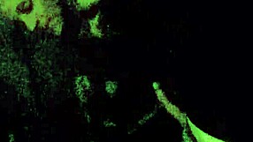 Beautiful Blonde Wife with Big Tits Giving a Suggestive Blowjob