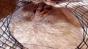 greta the net for a beautiful mature brunette lady with sensual feet