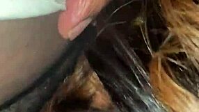her blowjob cock sucking is so good