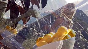 La hermosa Jillian Janson se hace correrse en la naturaleza