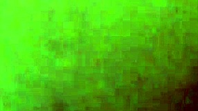 anal de perrito, intense assfucking in doggy style