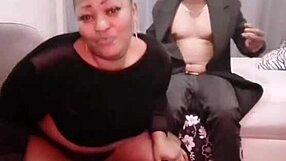 Nigarchrist shares update 1416 on petal from June 15 2025 in this casual entry.