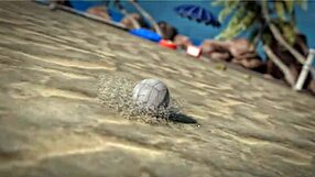 Beauty and the Thug Play Beach Ball Topless