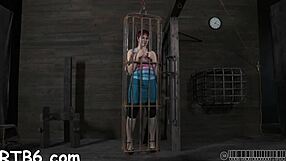 すごく興奮してる、ハードコアなファックポーズとチンポ吸いで競争中