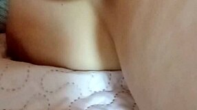 i am pregnant and my breasts feel like they are bursting with fullness now