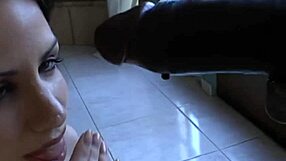 Selviääkö Annikan turvonnut kamelikengän ja pienet pillunhuulet siitä paksusta mustasta kyrvästä koiratyylisessä orgasmissa korkokengissä ja kiusoittelevassa stripteasessa?