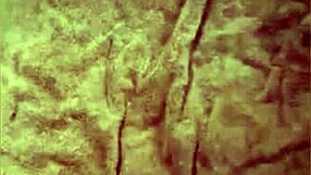 Do you love watching this awesome compilation of videos? It's super fun!