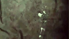 Do you love watching this awesome compilation of videos? It's super fun!