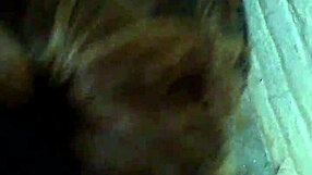 cum back video shows stockton head master in bathroom with milf