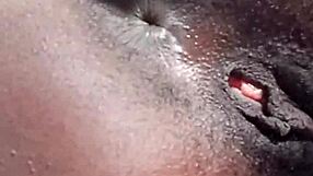 Connecting with lovers of sexybharbee, but what makes her homemade solo so pretty and captivating?