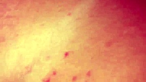 Good POV Fuck With Vibrator On Cute Pussy