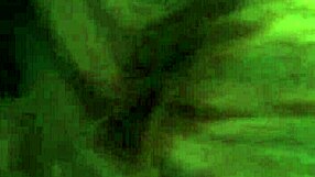 Ever Tried Sucking A Nice Thick Cock Like This One?