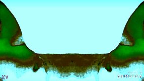 i'm at the mexytarte casting in gdl for an interview