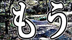 Praying Run Captures Spiritual Journey Through Melodic Tunes And Rhythmic Beats In A Calming Music Experience.