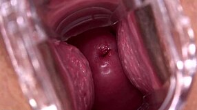 Mia Austin spreads wide with speculum for lucky close up view