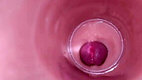 Amateur Babe BBW Takes Big Cock in Tight Wet Pussy for Deep Creampie Ejaculation