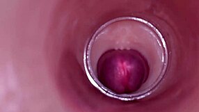 Amateur Babe BBW neemt grote lul in strakke natte kut voor diepe creampie ejaculatie